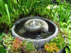 Statues & Sculptures Water Features-Ammonite Fossil Stone Garden Water Feature