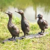 Statues & Sculptures Ducks-Baby Ducklings Bronze Metal Garden Ornaments
