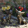 Statues & Sculptures Dogs-Chihuahua Dogs Bronze Metal Garden Ornaments