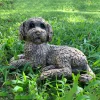Statues & Sculptures Dogs-Cockapoo 25cm Bronze Resin Garden Ornament