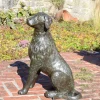 Statues & Sculptures Dogs-Duke the Dog Bronze Metal Garden Ornament