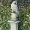 Statues & Sculptures Eagles|Modern-Eagle on Athenian Pedestal Modern Stone Garden Statue