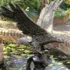 Statues & Sculptures Eagles-Golden Eagle on Wave Bronze Garden Statue