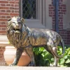 Statues & Sculptures Wildlife|Lions-Grand Lion Left Facing Bronze Metal Garden Statue