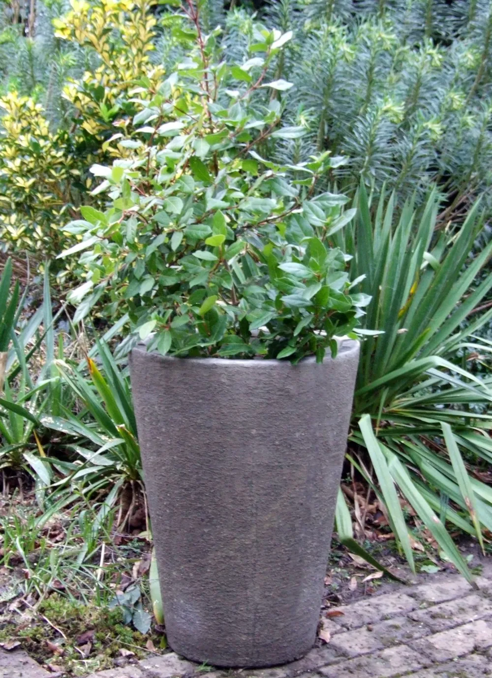 Statues & Sculptures Large|Round-Grand Long Tom Vase Stone Garden Planter