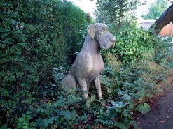 Statues & Sculptures Dogs-Great Dane Male Dog Stone Garden Statue