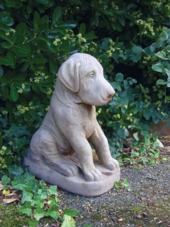 Statues & Sculptures Dogs-Great Dane Puppy Stone Garden Ornament