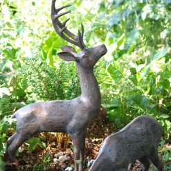 Statues & Sculptures Stags & Deers-Large Stag & Doe Deer Bronze Garden Statues
