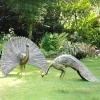 Statues & Sculptures Peacocks-Majestic Peacocks Life-Size Bronze Metal Garden Statues