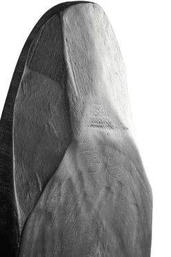 Statues & Sculptures Table Top|Abstract-Obsidian Essence 70cm Black Wood Indoor Sculpture