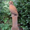 Statues & Sculptures Owls-Owl Modern Stone Garden Statue (Rust)