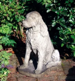 Statues & Sculptures Dogs-Springer Spaniel Stone Garden Ornament