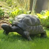 Statues & Sculptures Reptiles-Tortoise Bronze Metal Garden Ornament