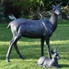 Statues & Sculptures Stags & Deers-Wild Doe & Fawn 103cm Bronze Metal Garden Statues