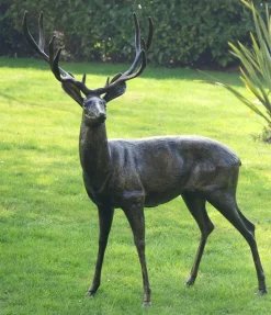 Statues & Sculptures Stags & Deers-Wild Stag & Doe Life-Size Bronze Garden Statues